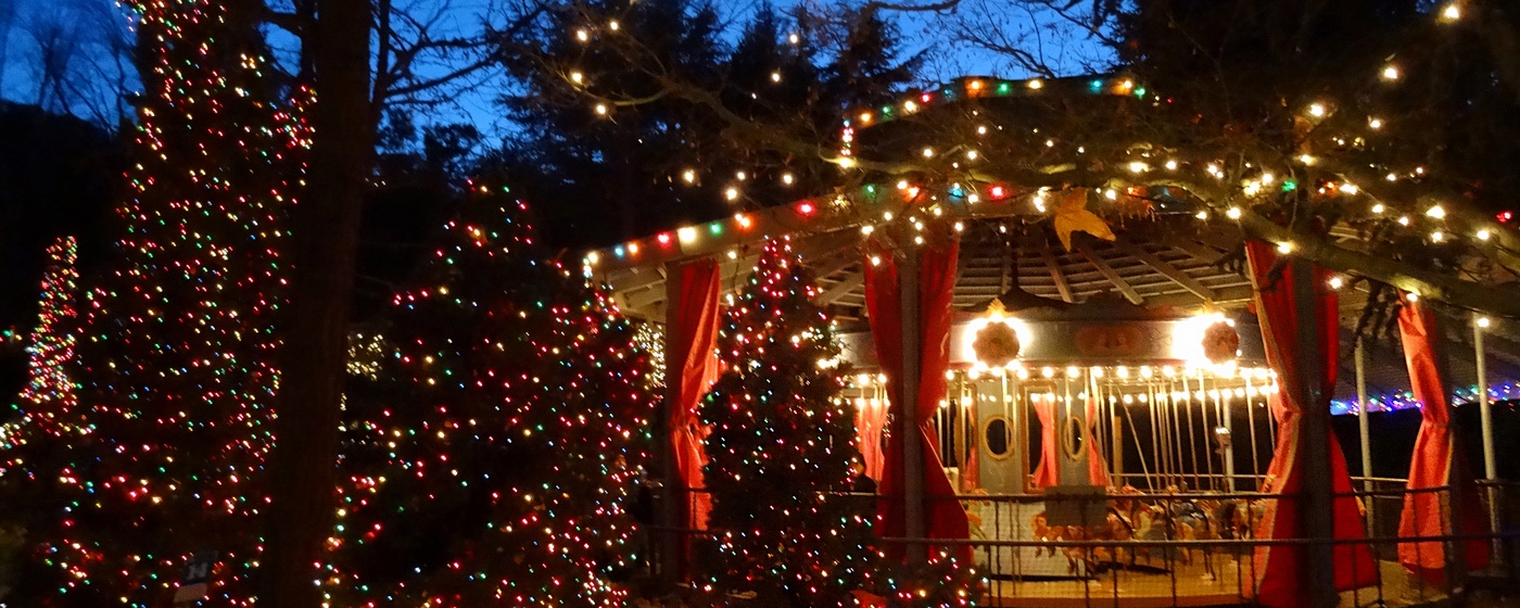 Image of Claudia's Carousel and string lighting in trees