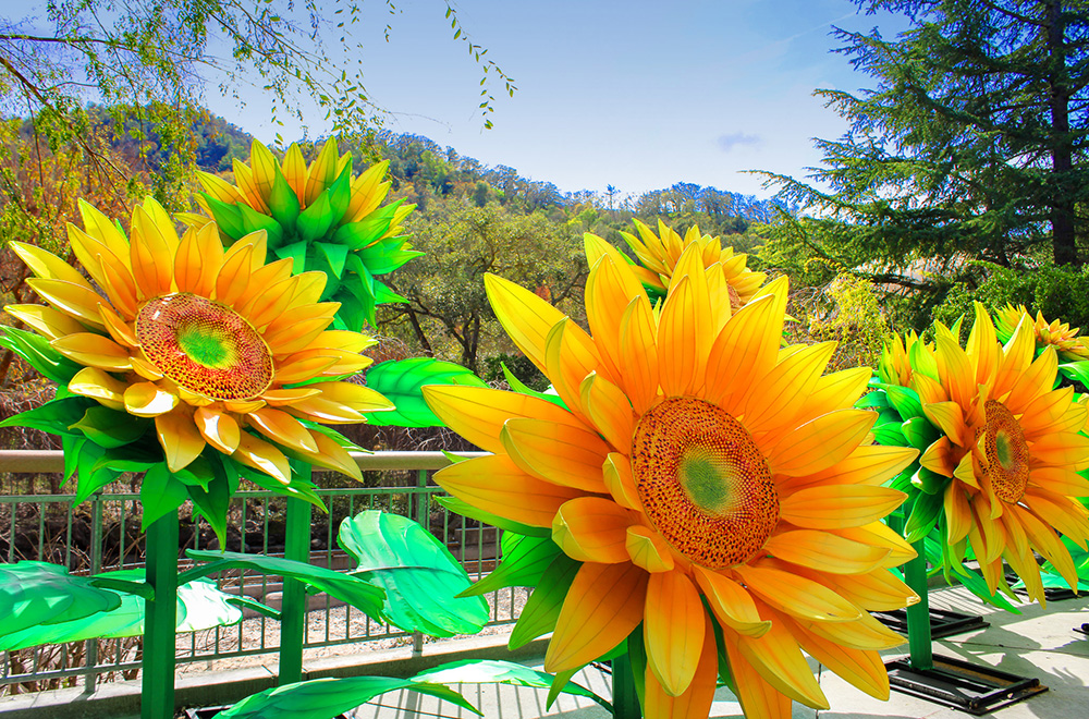 Fantastical Flowers Sunflower Display