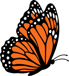 butterfly-lottie-ticket