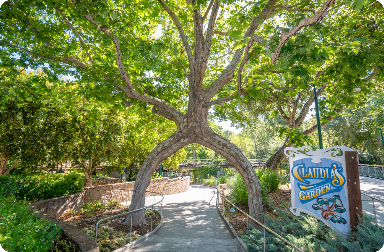 Claudia’s Garden: A Love Story