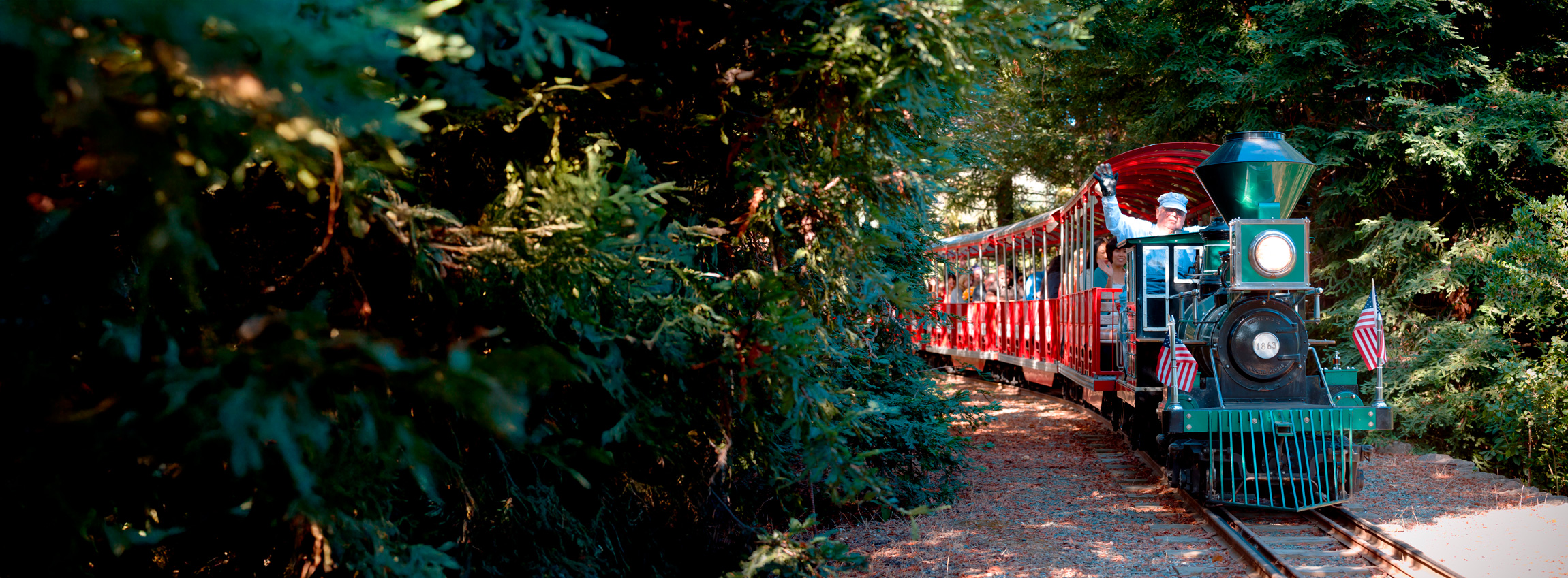 Green train with two American flags going down the tracks with large green trees around it