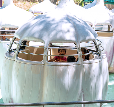 Garlic Twirl ride with guests inside having fun