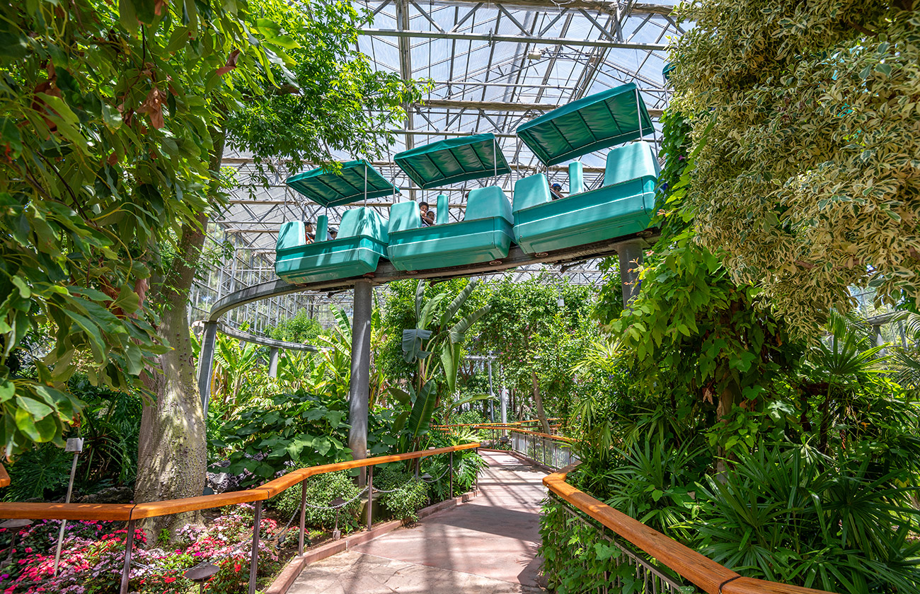 Sky Trail Monorail passing above the Monarch Garden greenhouse with large green trees