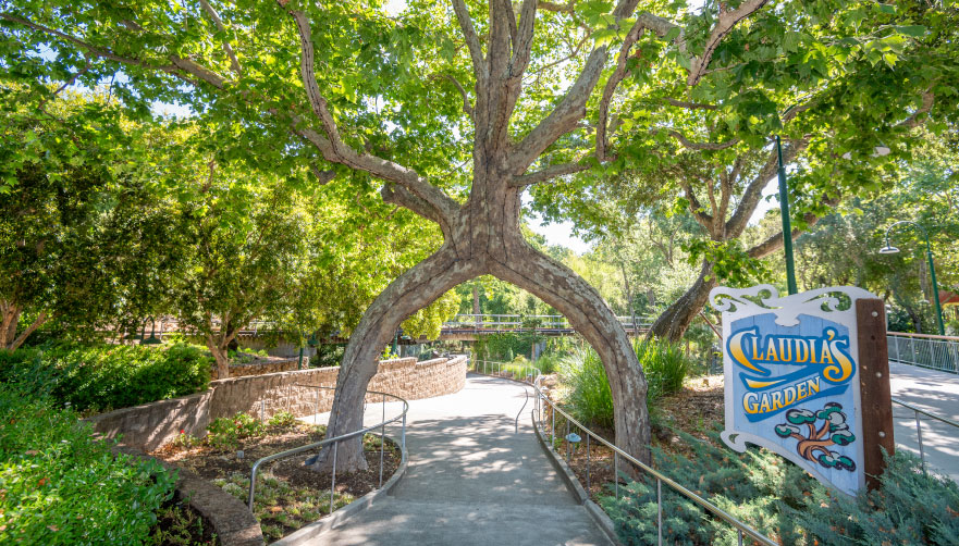 Arch circus tree in front of Claudia's Garden sign