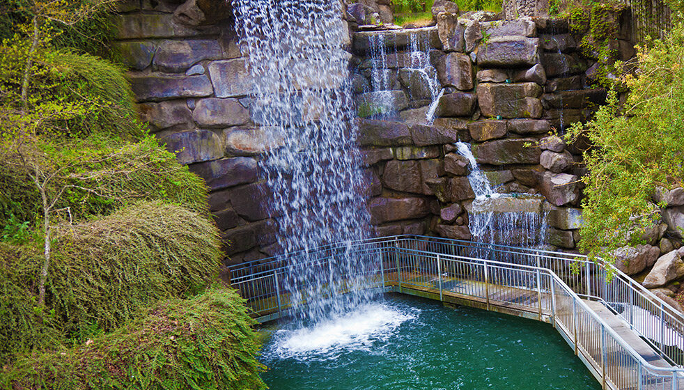 Waterfall with large rock wall behind it and green bushes to the side