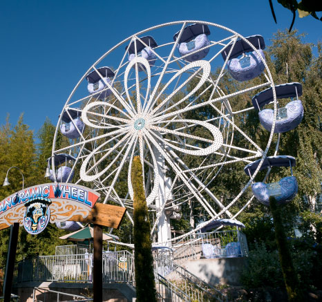 Purple Panoramic Wheel ride