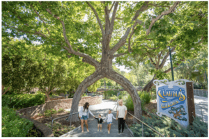 Claudia's Gardens