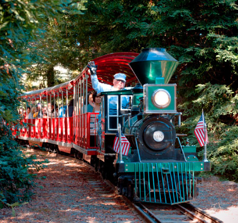 Green train with two American flags going down the tracks with large green trees around it