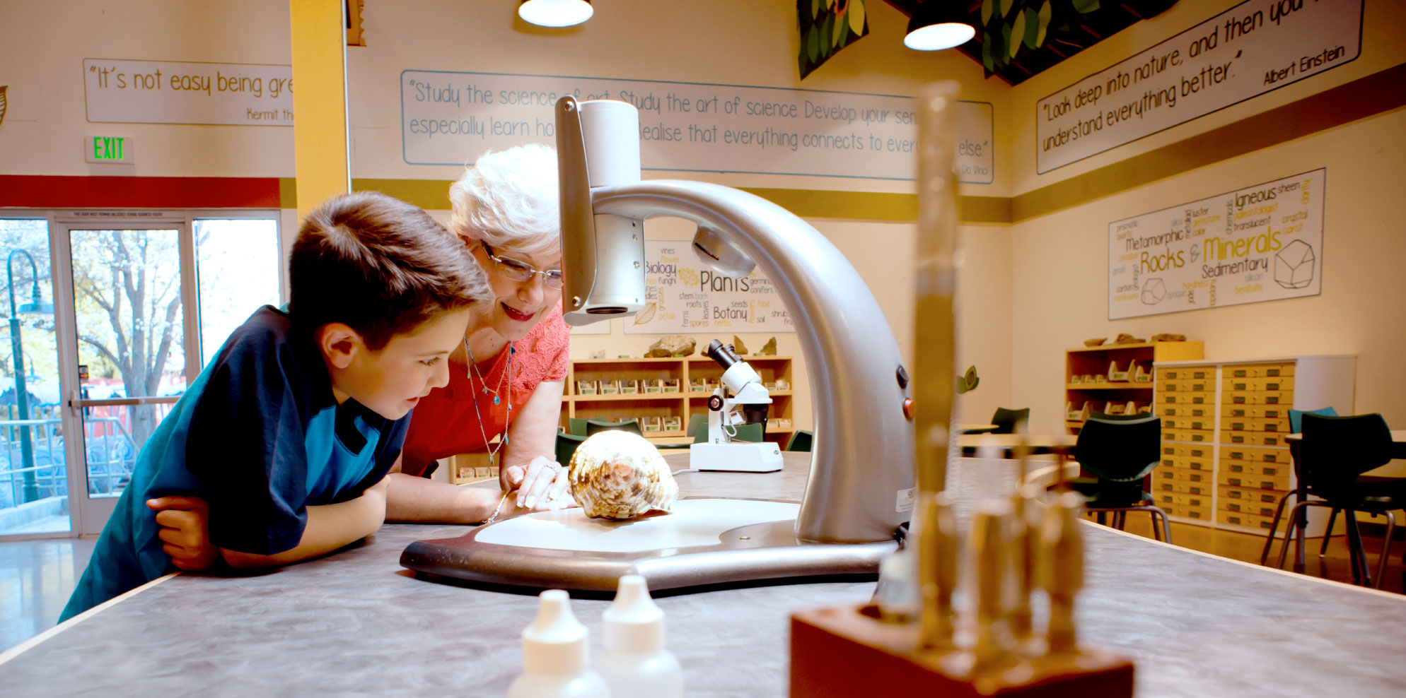 Grandmother in pink shirt looking at a shell with her grandson in a blue shirt