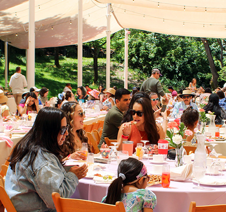 Adults and children enjoying delicious food and drinks on top of light pink table cloths