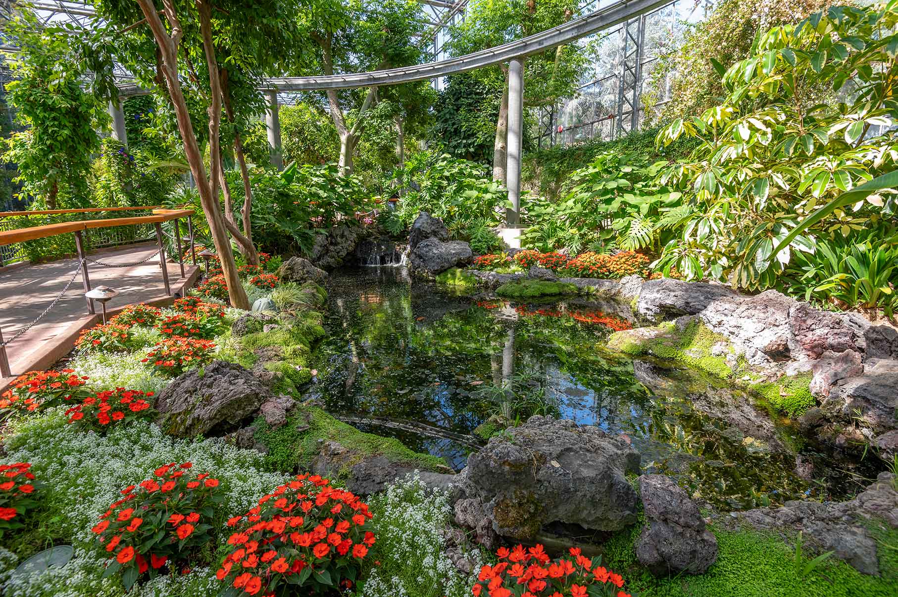 Small pond with moss and red and white flowers around it at Monarch Garden