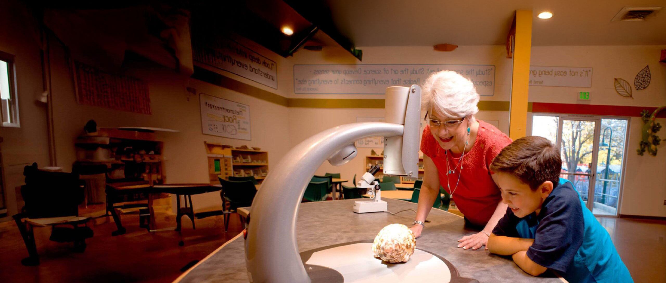 Grandmother in pink shirt looking at a shell with her grandson in a blue shirt