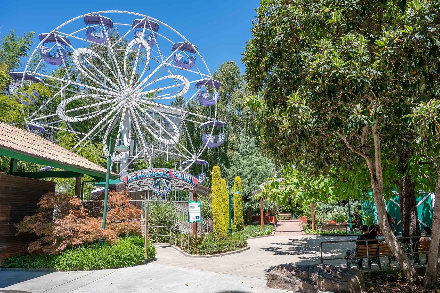 People sitting on a bench in front of a purple panoramic wheel that is surrounded by large green trees