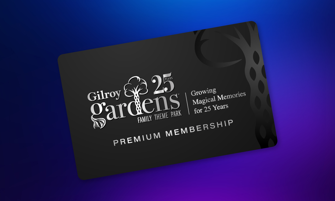 Black 2025 premium membership card