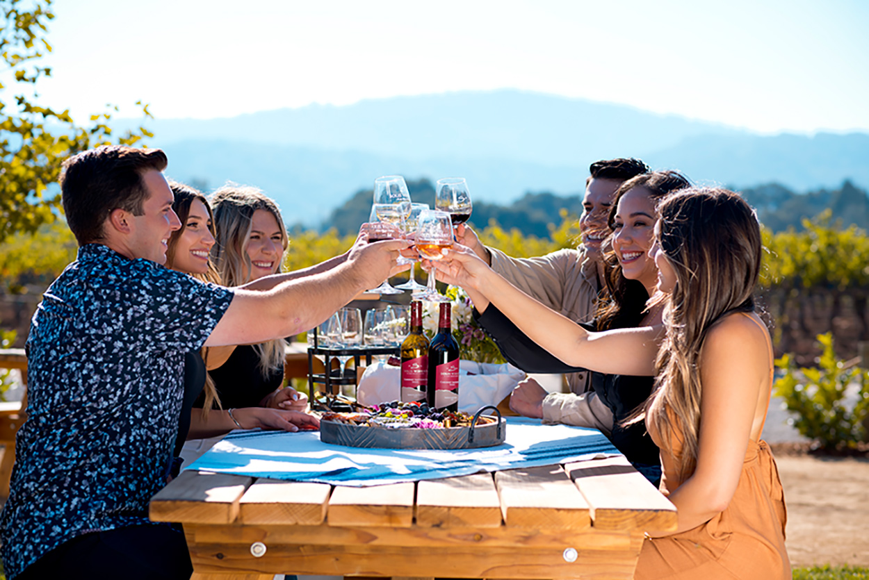 Six friends cheering their wine glasses with red and white wine at Solis Winery