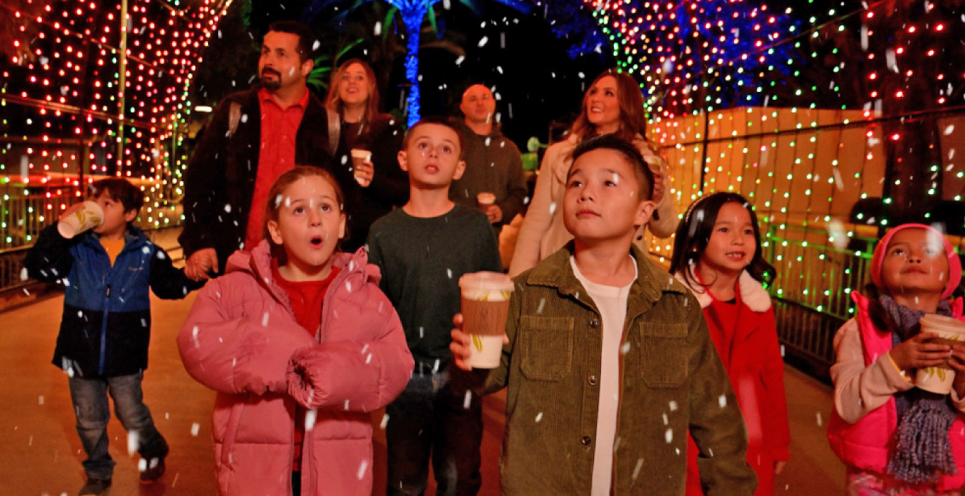 Family and friends walking down the light tunnel at North Pole Nights while holding their hot chocolate cups