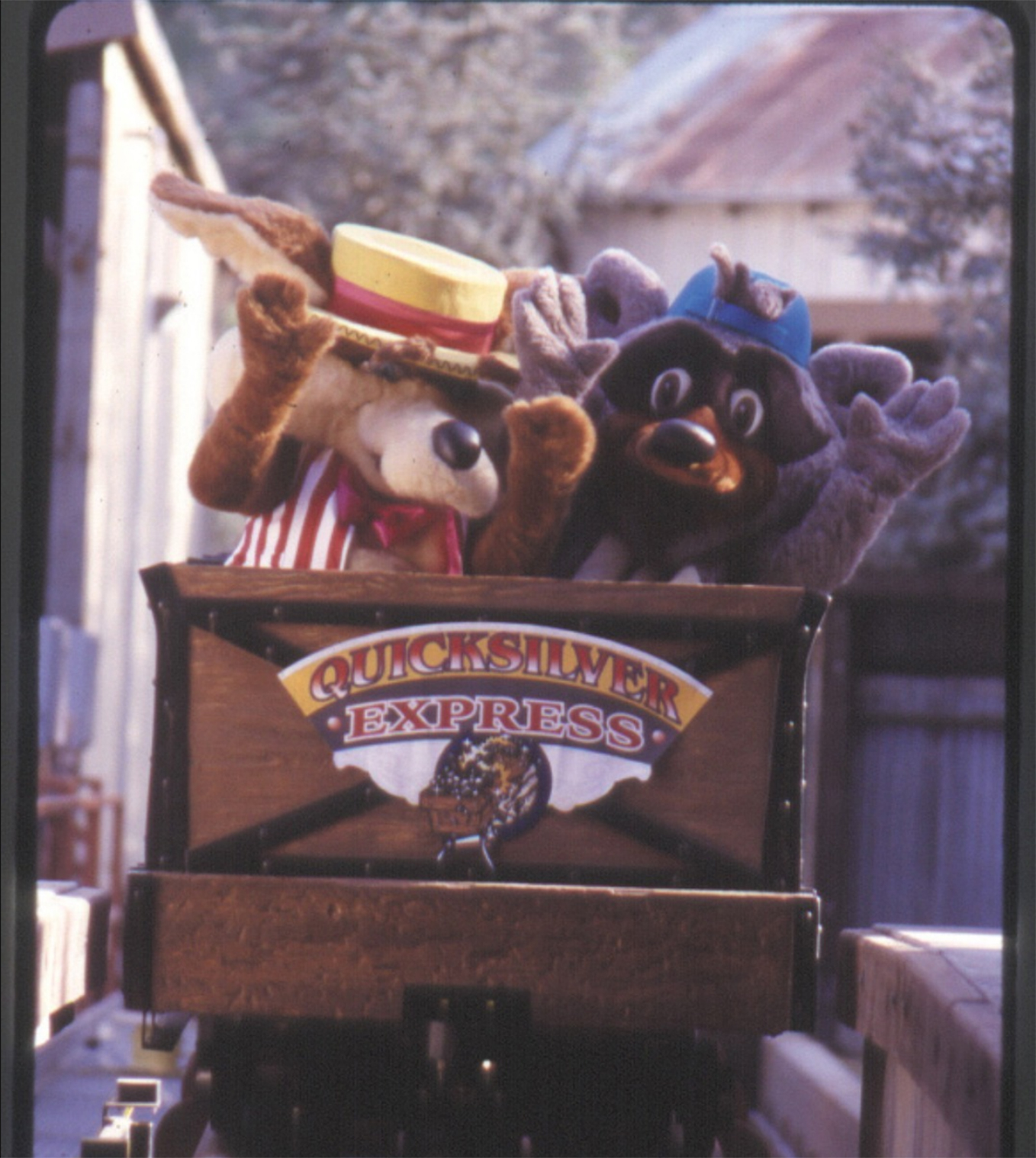 Swindelya Coyote and Rax Racoon original characters from Bonfante Gardens