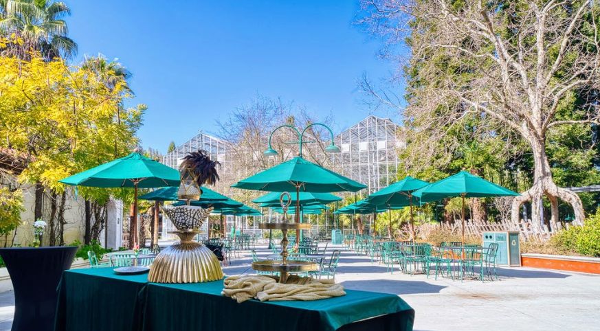 Green umbrellas and tables surrounded by circus trees