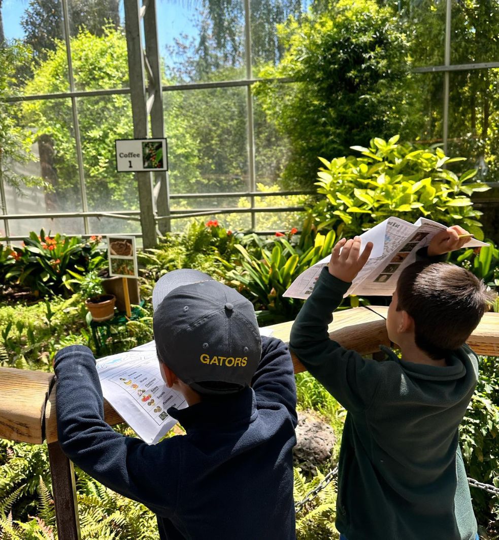 Two young boys leaning against a guard rail in Monarch Garden searching for the plant that is shown on their paper packets that is in their hands.