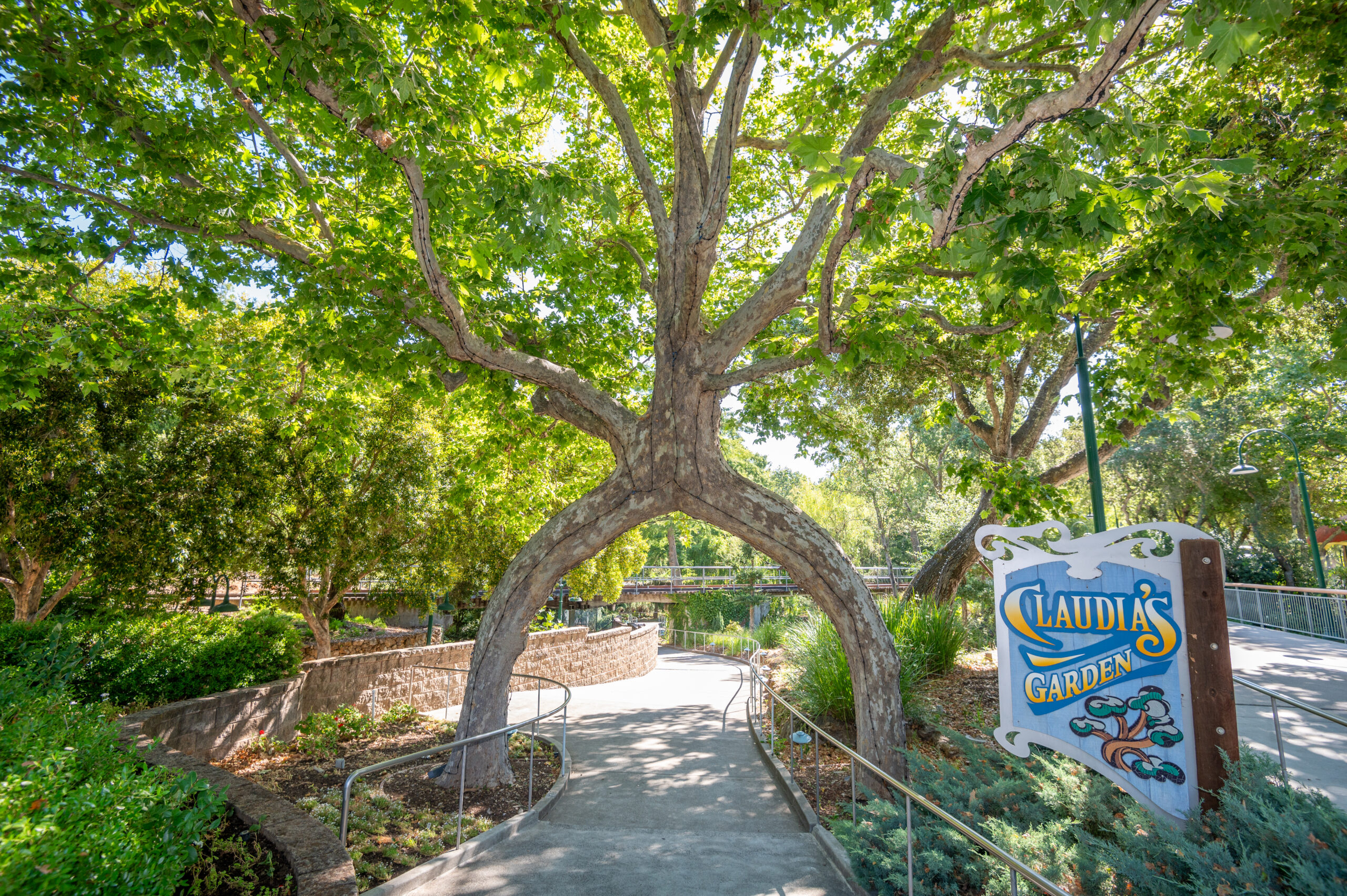 Arch circus tree in front of Claudia's Garden sign