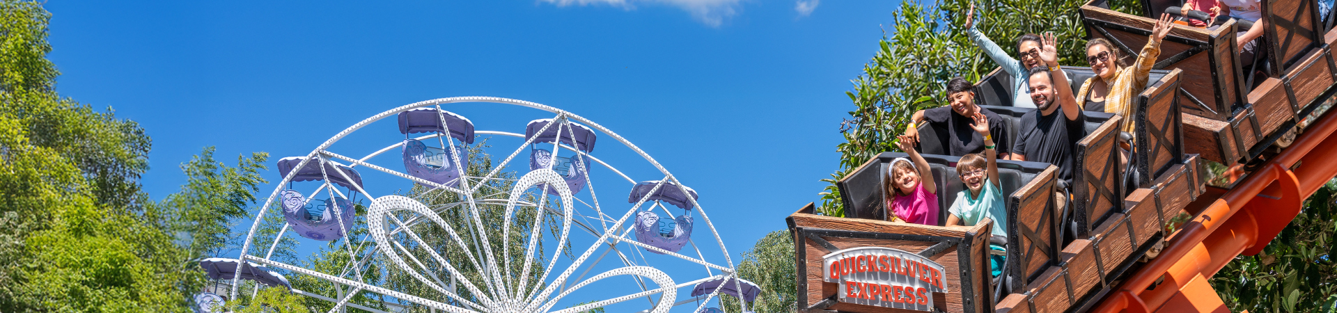 Guests with their hands up and smiling while on the Quicksilver Roller Coaster