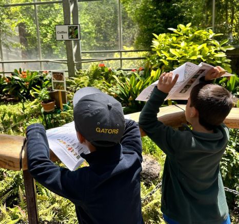 Two young boys leaning against a guard rail in Monarch Garden searching for the plant that is shown on their paper packets that is in their hands.