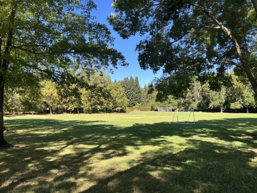 Soccer field with green grass and large green trees around the field