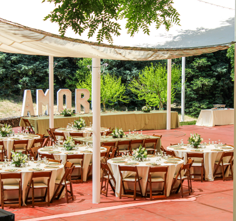 Circular tables with brown chairs around them and white rose centerpieces