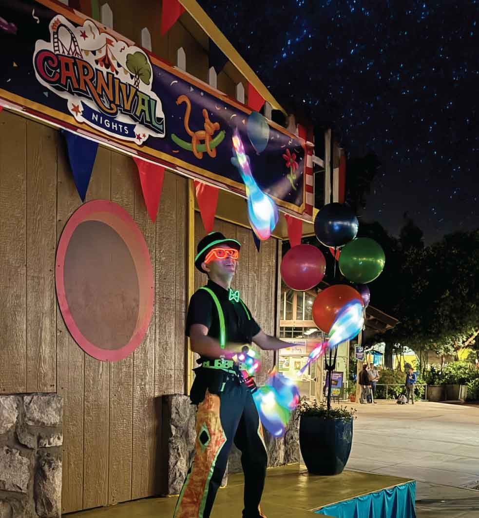 carnival nights