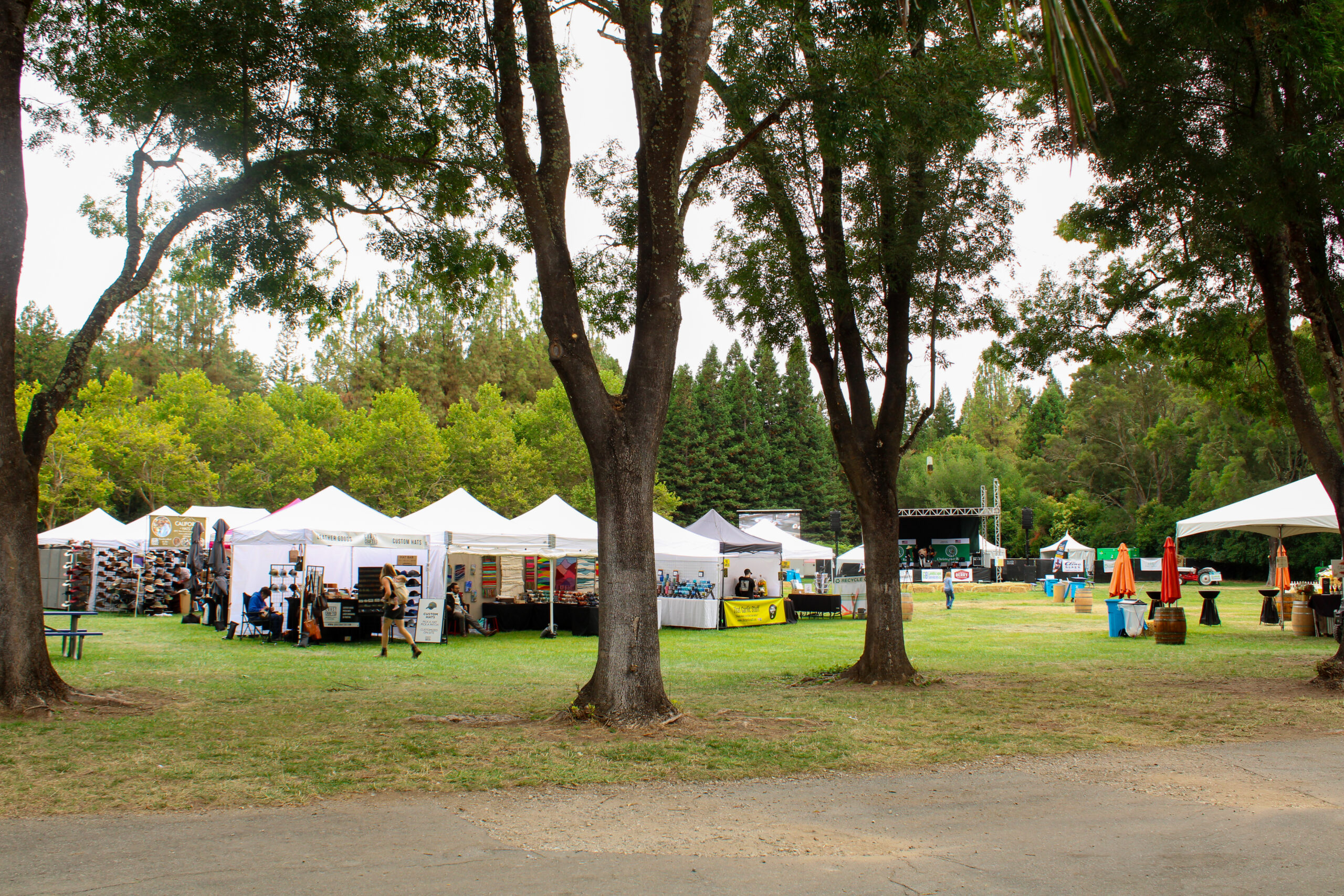 Vendor tents and stage for music at South County Grove